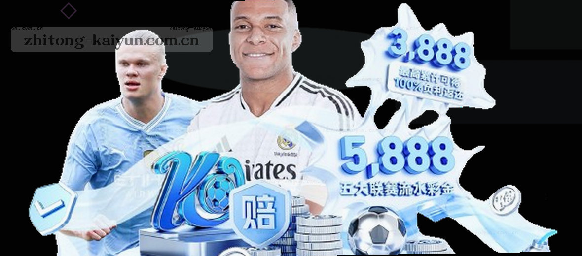 企业简介 品牌故事 核心价值